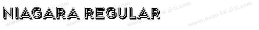 Niagara Regular字体转换